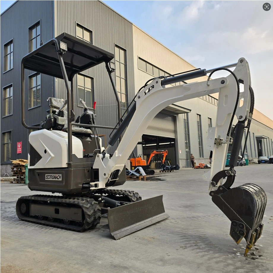 Kubota Engine 2 Ton Excavator